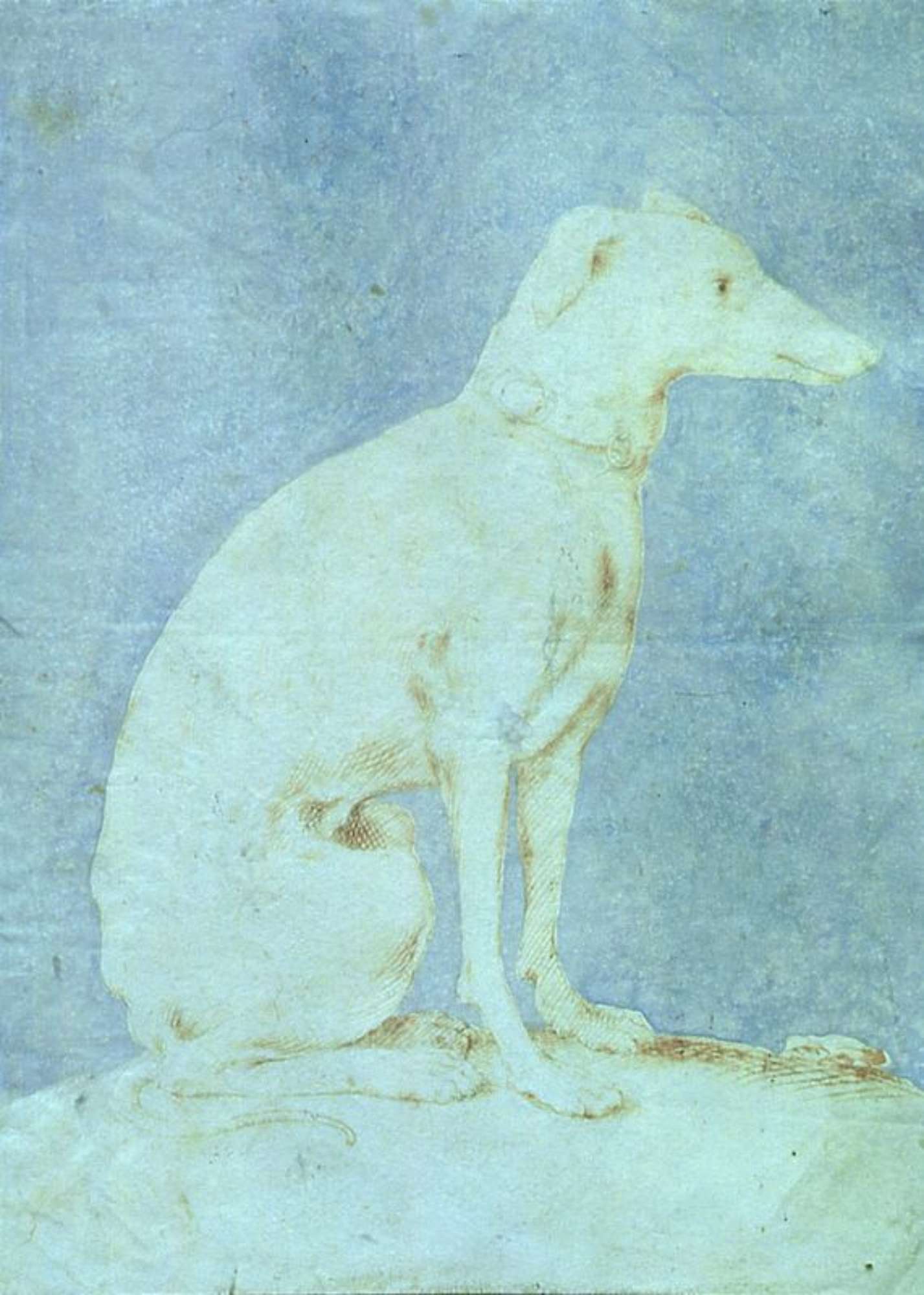 Levriero, Parmigianino